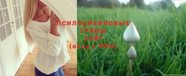 круглые Богданович