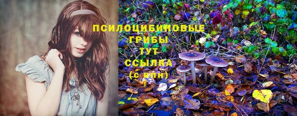 Альфа ПВП Богородицк